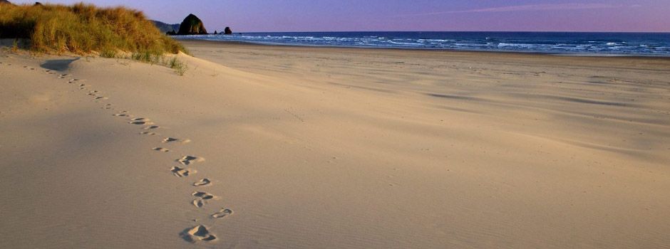 ataud, ecológico, ecología, sostenible, sostenibilidad, madera, cartón, arbol, restgreen, ambiente, planeta, medioambiente, ecofuneral, eco, funeral, eco funeral,Cremacion, incineracion, ataud personalizado, ataud customizado, ataud biodegradable, eco ataud, entierro verde, ecoataud, eco-ataud, ataud medioambiental, ataudes diferentes, diseño ataud, feretro, ecoferetro, feretro ecologico, feretro biodegradable,caja de restos, natural coffins, death, burial, cremation, biodegradable coffins, Environmentally sound coffins, Eco coffins, hand crafted coffins, wicker Coffins, incineration, cardboard coffins, natural coffins, personalised coffins, environmental, environmentally friendly coffin alternative coffin, biodegradable coffin, eco burial, eco-burial, eco-burials, eco coffin, eco-coffin, green burial, green coffin, green funeral, pastel coloured coffin, recycled cardboard, casket, Servicio Funerario, Servicio Funerario Barato