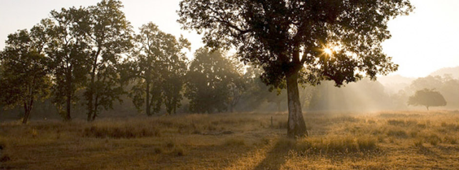 ataud, ecológico, ecología, sostenible, sostenibilidad, madera, cartón, arbol, restgreen, ambiente, planeta, medioambiente, ecofuneral, eco, funeral, eco funeral,Cremacion, incineracion, ataud personalizado, ataud customizado, ataud biodegradable, eco ataud, entierro verde, ecoataud, eco-ataud, ataud medioambiental, ataudes diferentes, diseño ataud, feretro, ecoferetro, feretro ecologico, feretro biodegradable,caja de restos, natural coffins, death, burial, cremation, biodegradable coffins, Environmentally sound coffins, Eco coffins, hand crafted coffins, wicker Coffins, incineration, cardboard coffins, natural coffins, personalised coffins, environmental, environmentally friendly coffin alternative coffin, biodegradable coffin, eco burial, eco-burial, eco-burials, eco coffin, eco-coffin, green burial, green coffin, green funeral, pastel coloured coffin, recycled cardboard, casket, Servicio Funerario, Servicio Funerario Barato