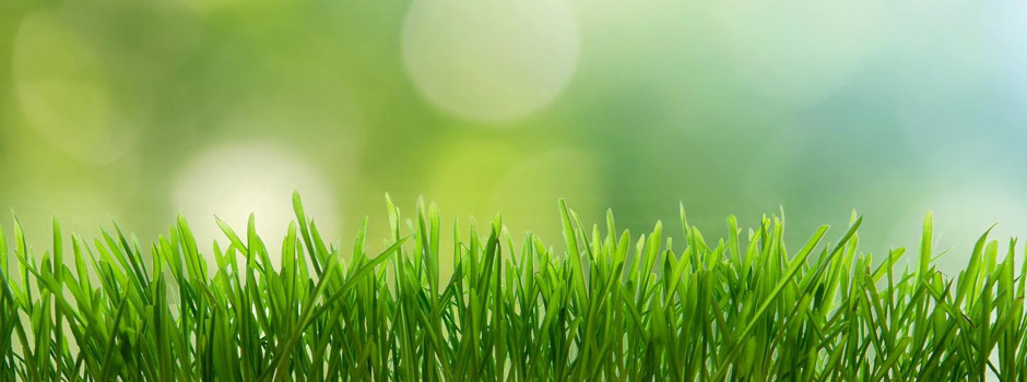 ataud, ecológico, ecología, sostenible, sostenibilidad, madera, cartón, arbol, restgreen, ambiente, planeta, medioambiente, ecofuneral, eco, funeral, eco funeral,Cremacion, incineracion, ataud personalizado, ataud customizado, ataud biodegradable, eco ataud, entierro verde, ecoataud, eco-ataud, ataud medioambiental, ataudes diferentes, diseño ataud, feretro, ecoferetro, feretro ecologico, feretro biodegradable,caja de restos, natural coffins, death, burial, cremation, biodegradable coffins, Environmentally sound coffins, Eco coffins, hand crafted coffins, wicker Coffins, incineration, cardboard coffins, natural coffins, personalised coffins, environmental, environmentally friendly coffin alternative coffin, biodegradable coffin, eco burial, eco-burial, eco-burials, eco coffin, eco-coffin, green burial, green coffin, green funeral, pastel coloured coffin, recycled cardboard, casket, Servicio Funerario, Servicio Funerario Barato